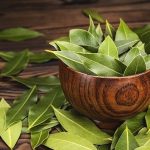 برگ بو؛ گیاهی خوش‌عطر با خواص شگفت‌انگیز درمانی