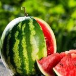 ترکیبات مفید هندوانه برای سلامتی