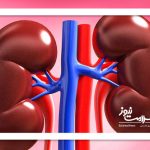 ماء‌الشعیر و کلیه‌ها؛ باور نادرستی که سلامت را تهدید می‌کند