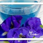 این گیاه دارویی معجزه می‌کند