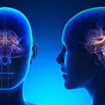 استرس شدید می‌تواند توانایی مغز در کنترل احساسات را مختل کند