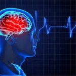 زنجان در صدر رنکینگ جهانی درمان سکته مغزی قرار گرفت