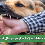 حمله حیوانات به 409 هزار نفر در سال گذشته