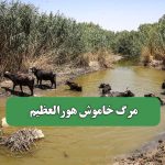 مرگ خاموش هورالعظیم