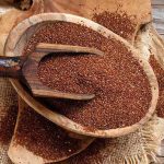 رازهای درمانی خاکشیر از نگاه طب ایرانی