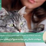 حیوانات خانگی می‌توانند منبع آلرژی‌های جدی باشند