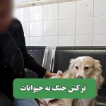 ترکش جنگ به حیوانات