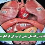 قاچاقاچیان اعضای بدن در تهران گرفتار شدند