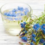 پاکسازی کبد، تنها با گیاه کاسنی (Chicory)|خواص و مضرات